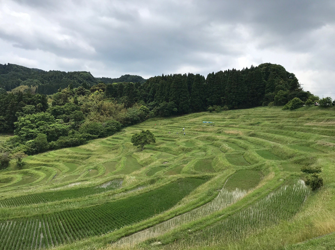 Oyama Rice Terraces景点图片