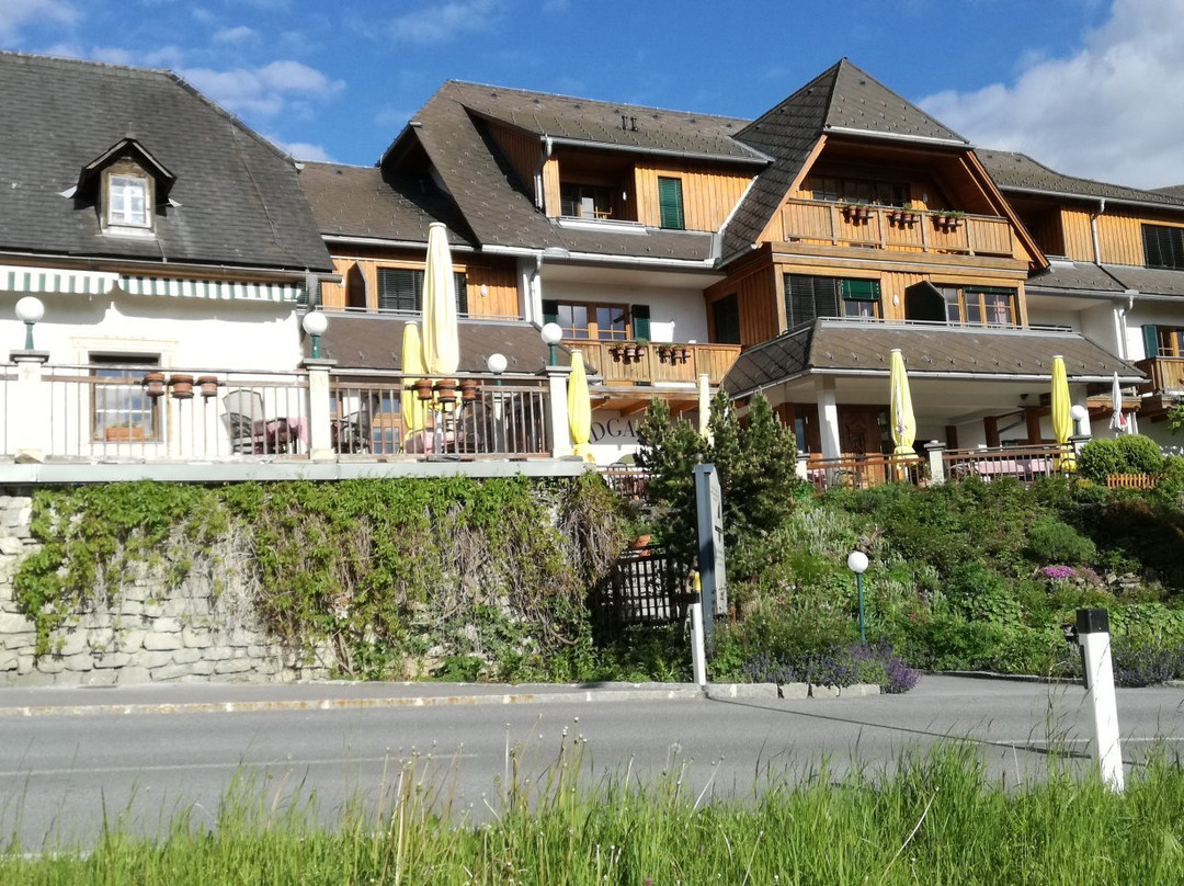 弗拉尼茨泰夏姆酒店住宿-Hotel zum Steinhauser