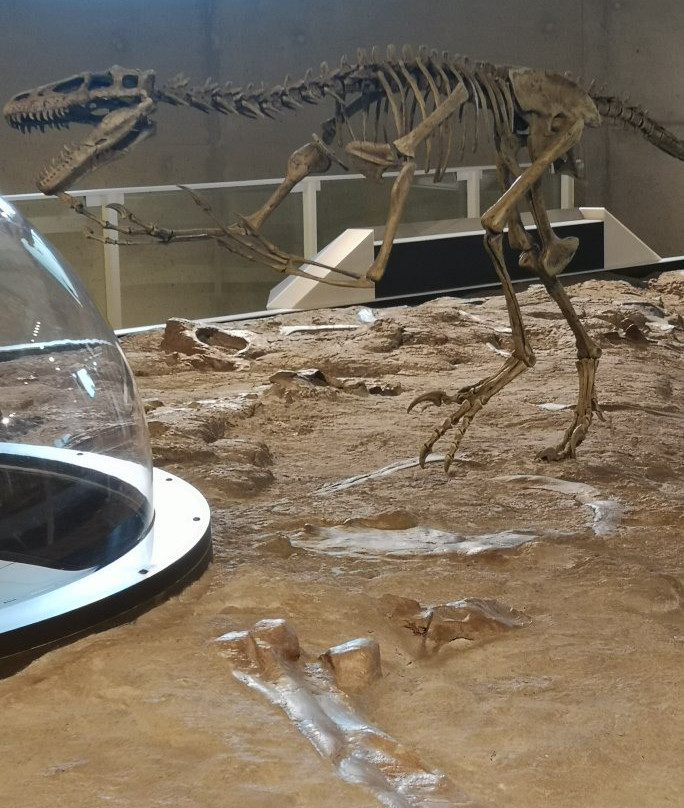 Philip J. Currie Dinosaur Museum景点图片