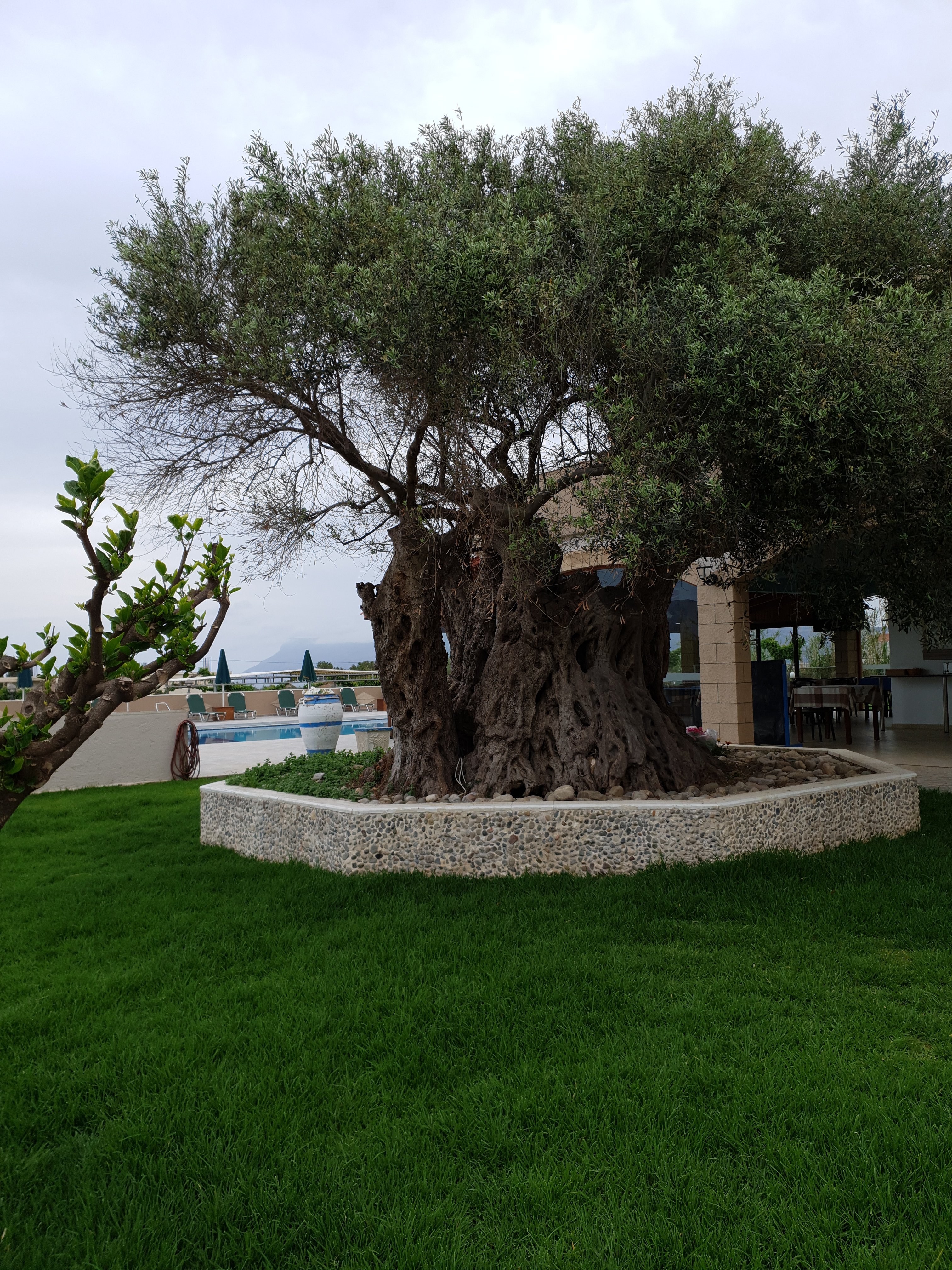 Mediterranean Hotel & Apartments-浴室