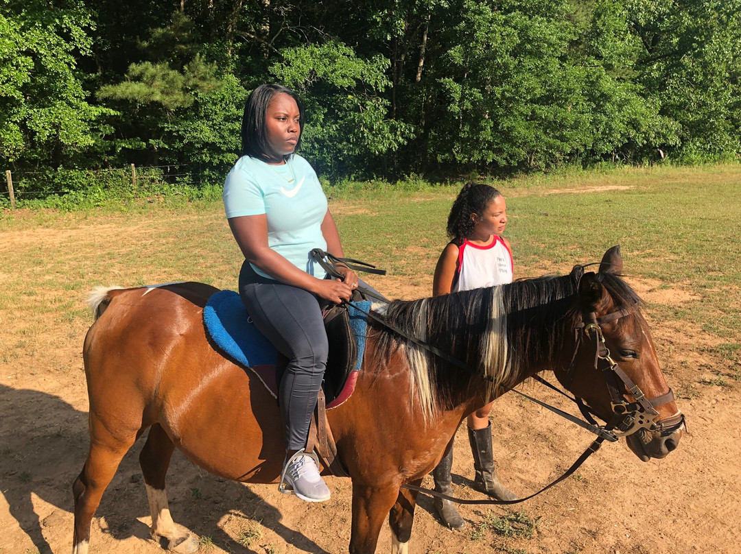 Pure Horse Play-Griffin必去景点