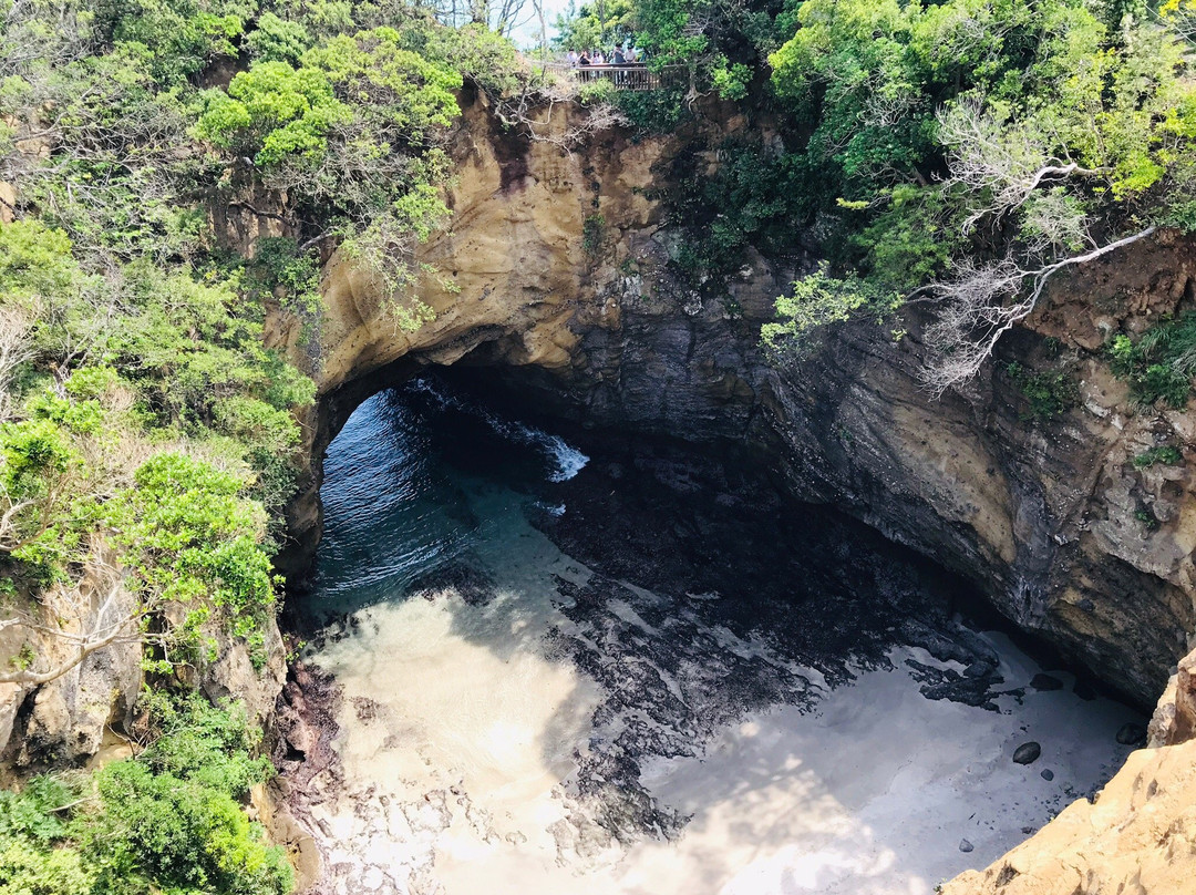 Ryugu Park景点图片