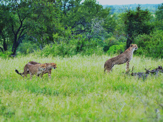 EXPLOREK2K SAFARIS AND TRANSFERS-雾观必去景点