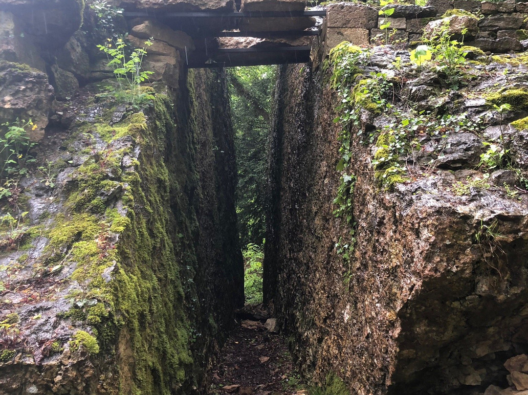 Parc des Roches-Bourmont必去景点