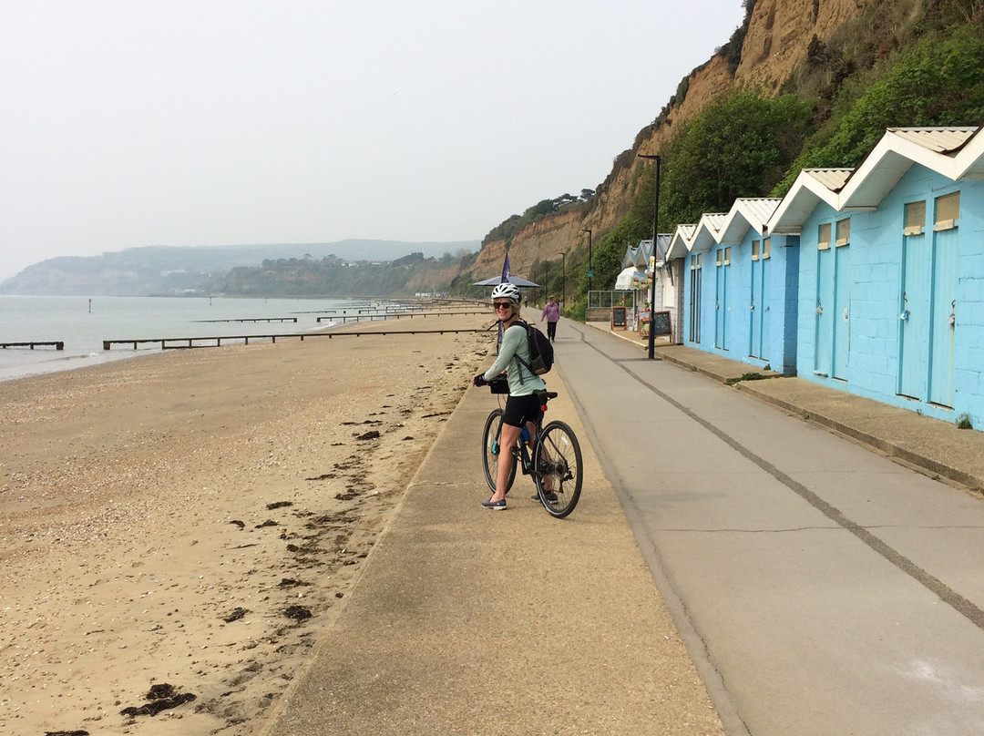 The Belmore B&B主图