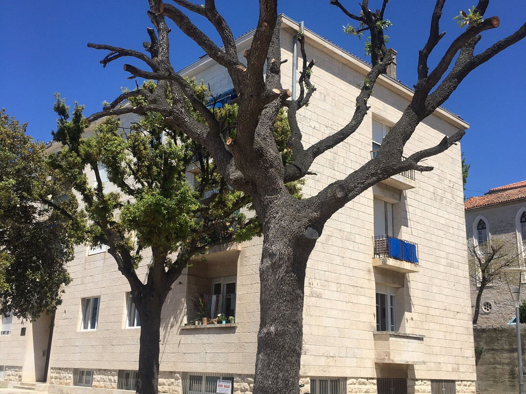 Zadar Tours & Excursions-扎达尔必去景点