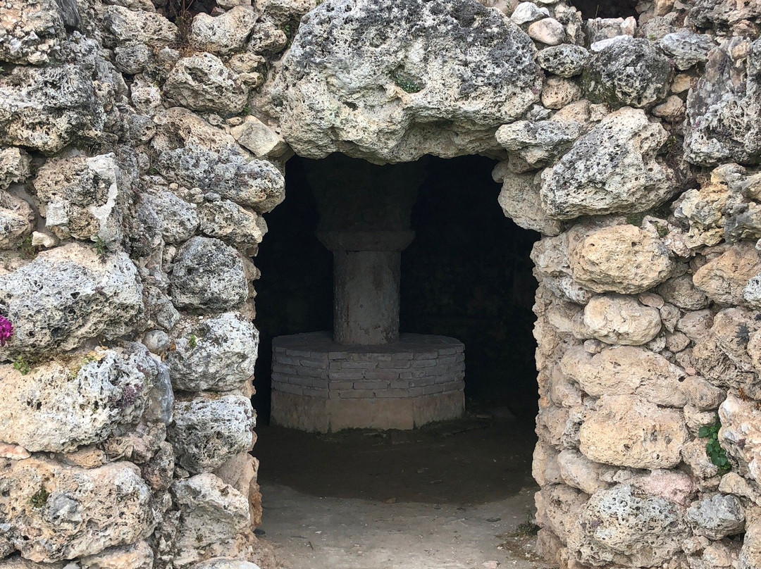 Villa Della Torre Allegrini主图