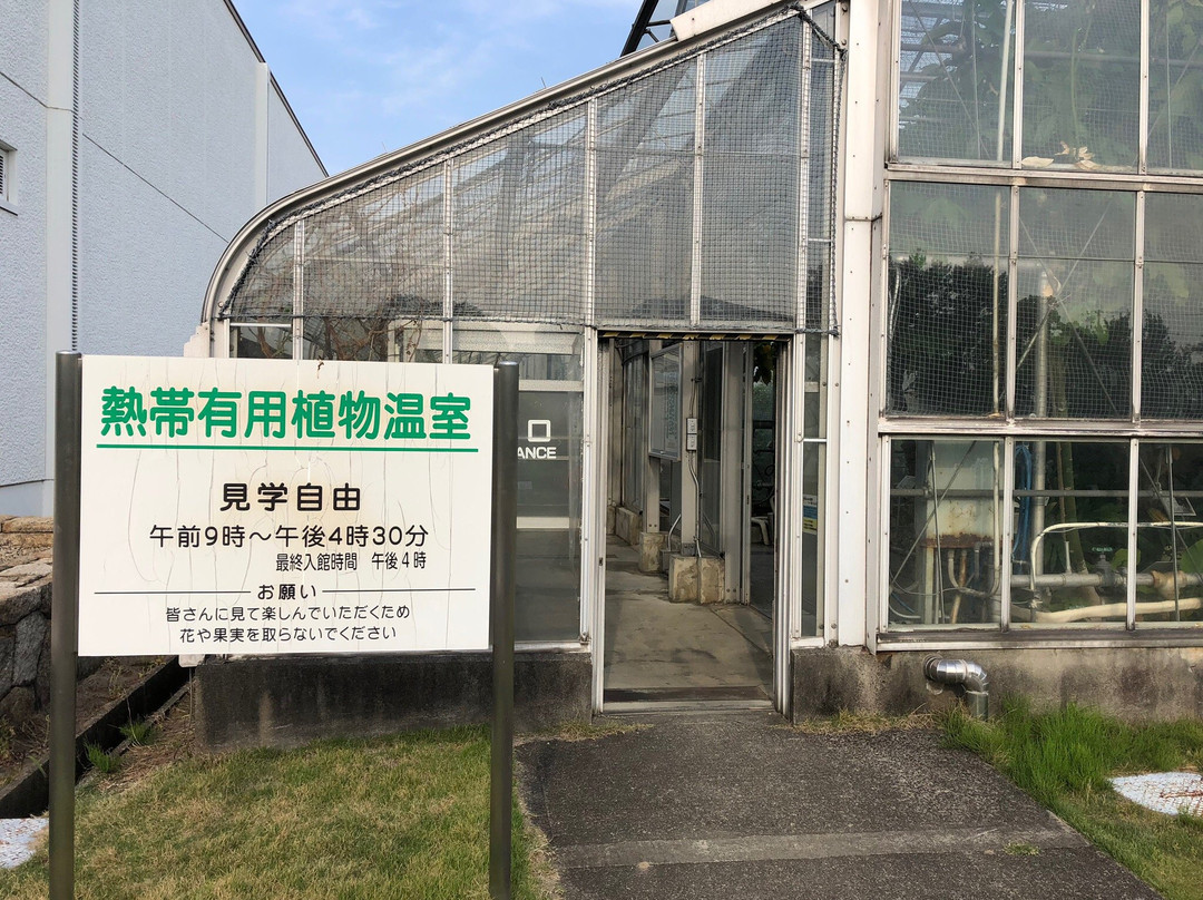 Naito Museum of Pharmaceutical Science and Industry-各务原市必去景点