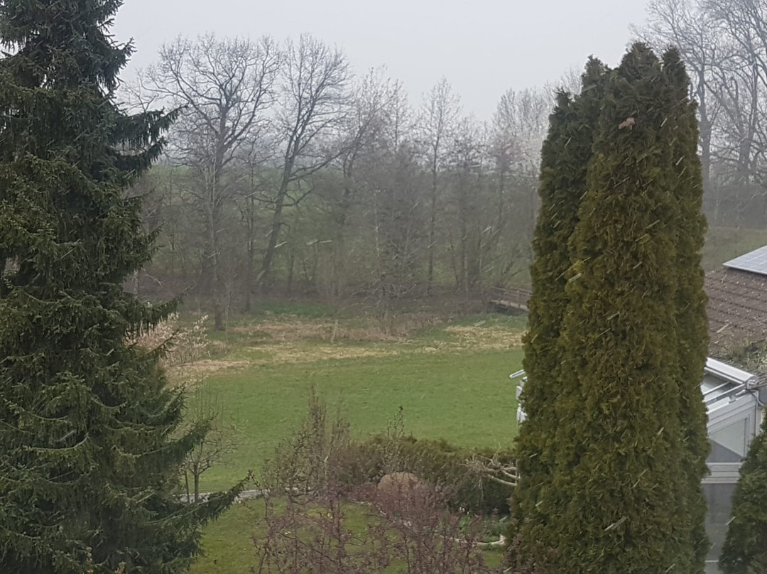 Ferienwohnung Salzgeber