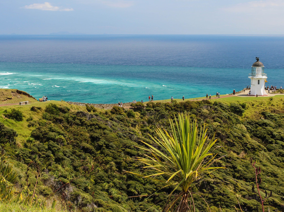 Cape Reinga Lighthouse景点图片