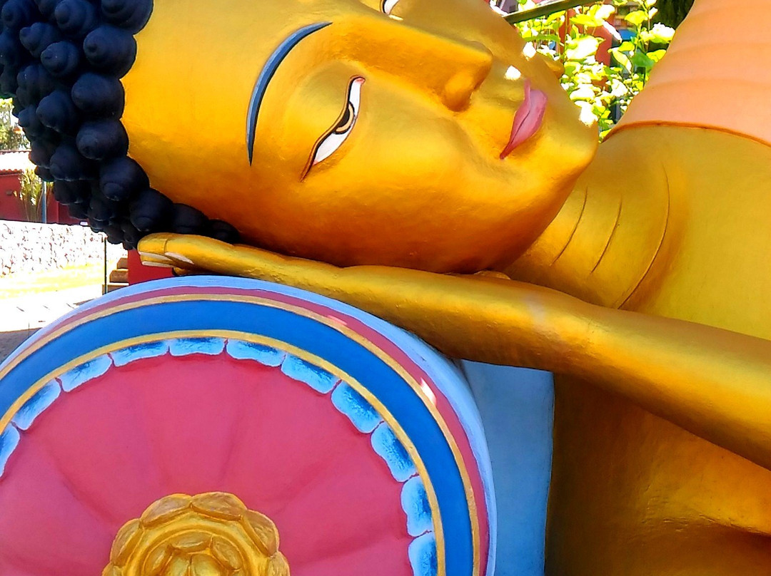 Templo Odsal Ling-Cotia必去景点