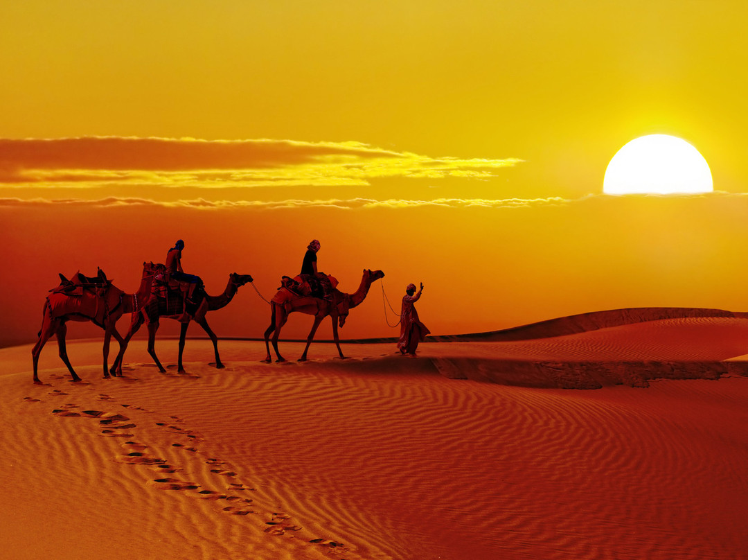 The Indian Safari景点图片