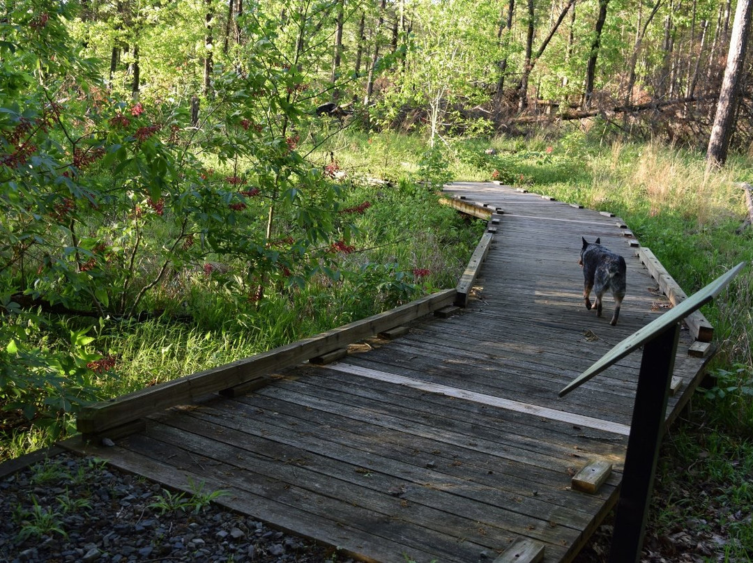 South Fork Nature Center景点图片