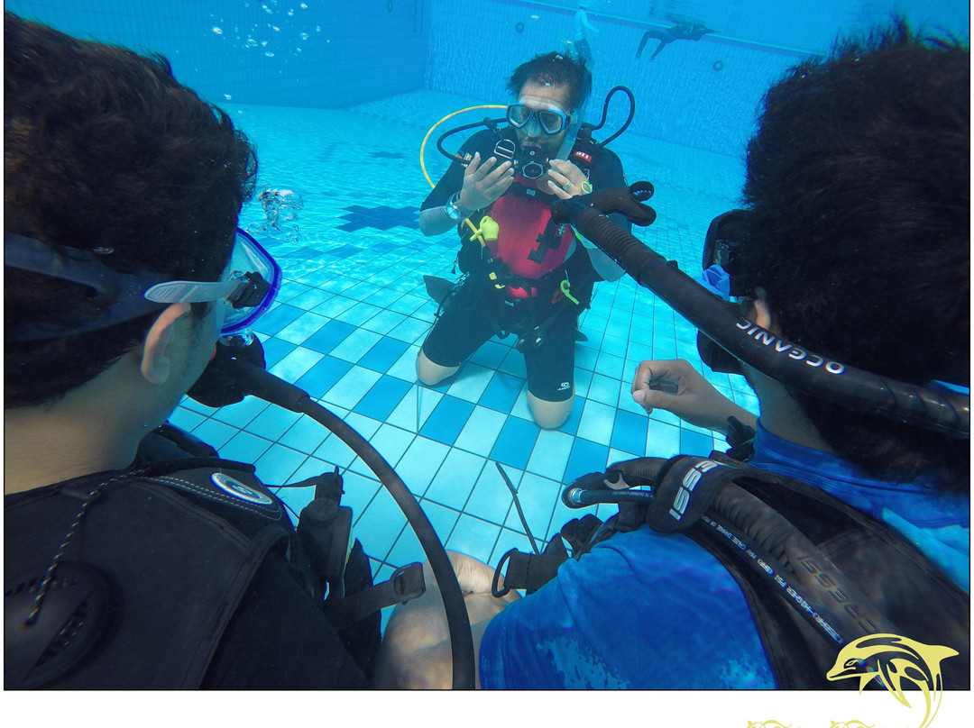 Orca Divers SA-吉达必去景点