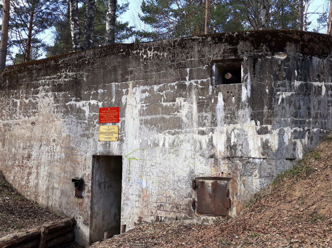 Fortress Krasnaya Gorka景点图片