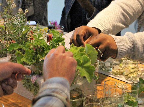 Cape Town Fynbos Experience-开普敦中心区必去景点