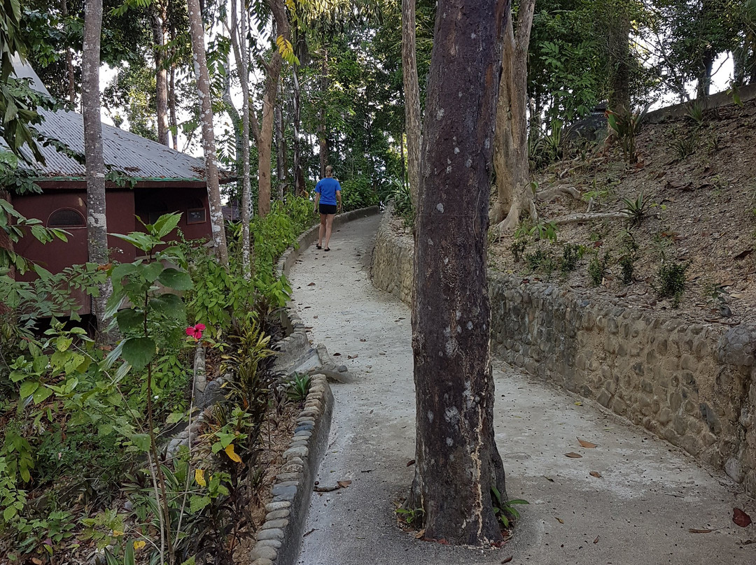 Atremaru Jungle Retreat主图