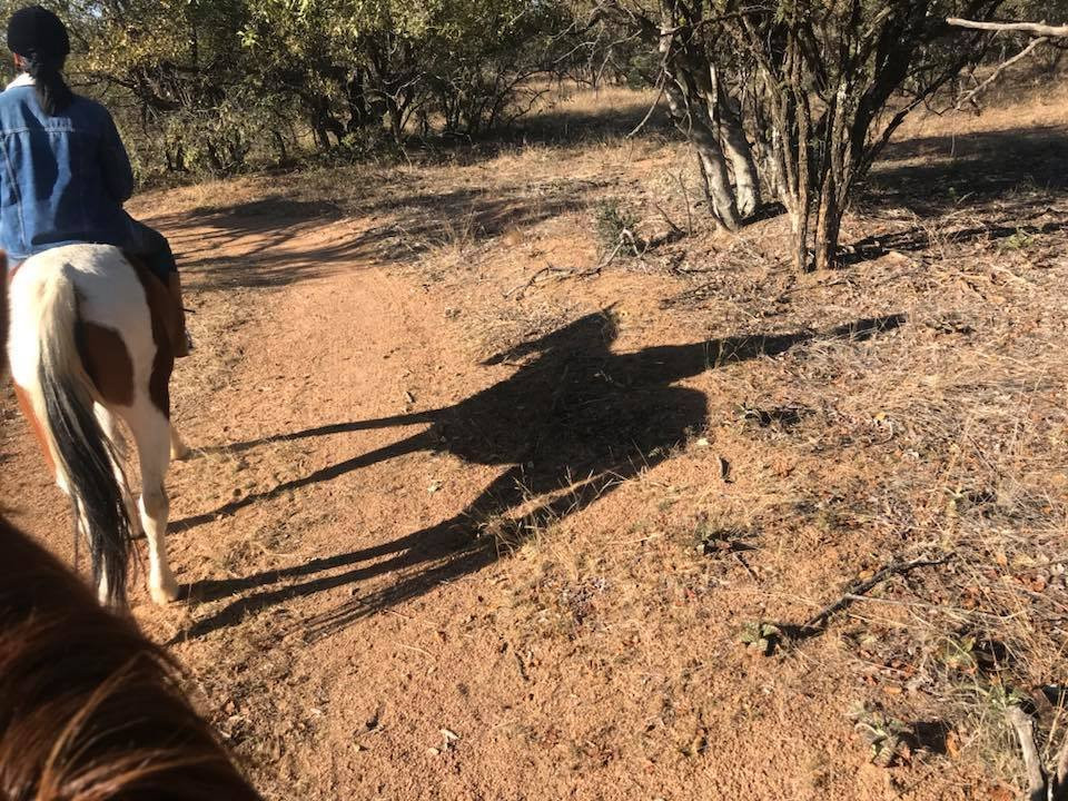 Unathi Horseback Trails景点图片