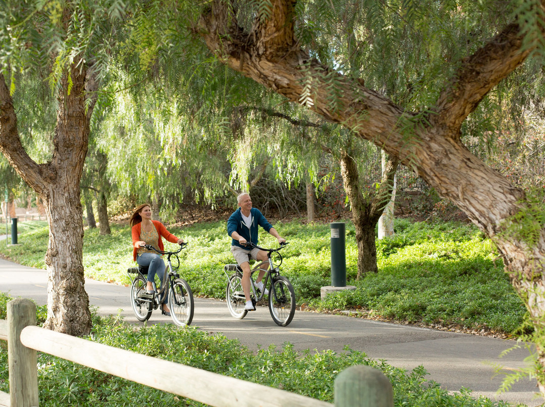 Pedego Electric Bikes Upland景点图片