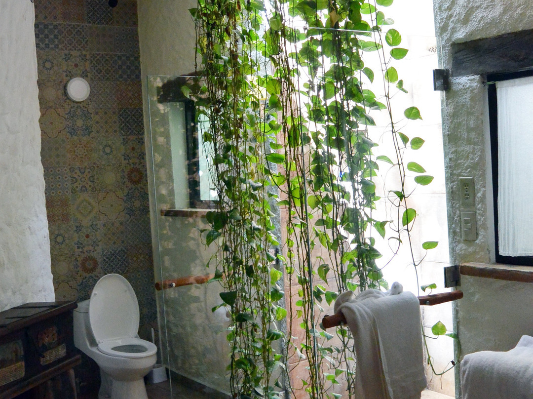 Bellisima casa en la selva主图