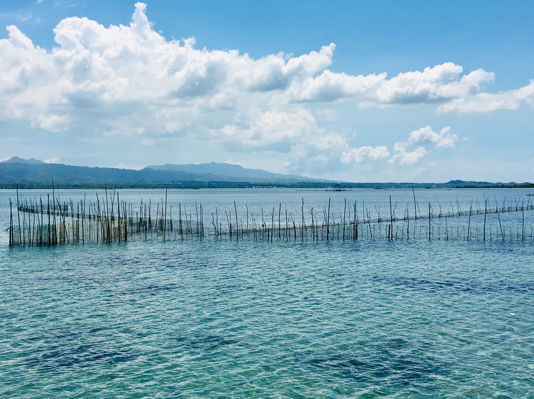 Tabuk Marine Park and Bird Sanctuary