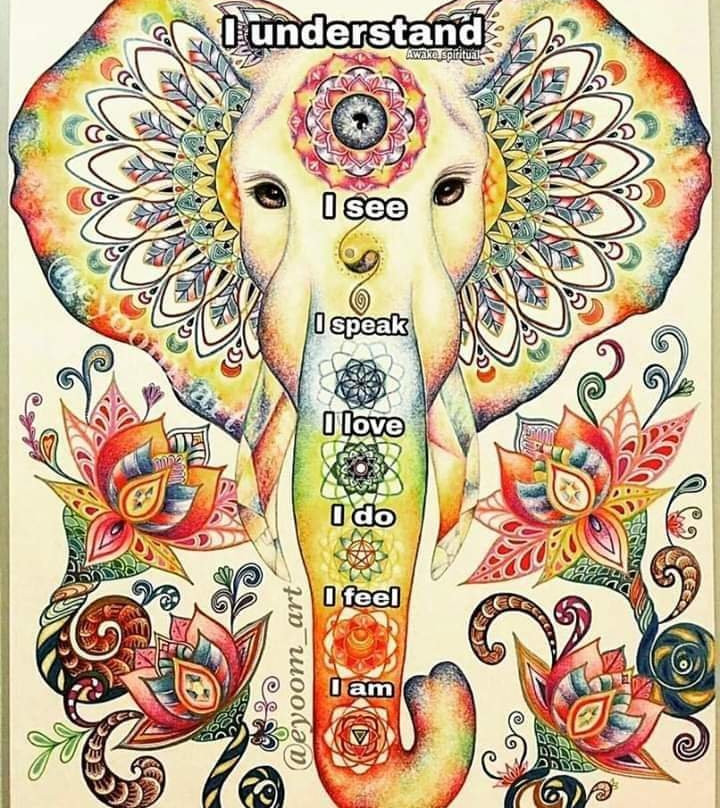 Yashraj Clinic-加兰古特必去景点