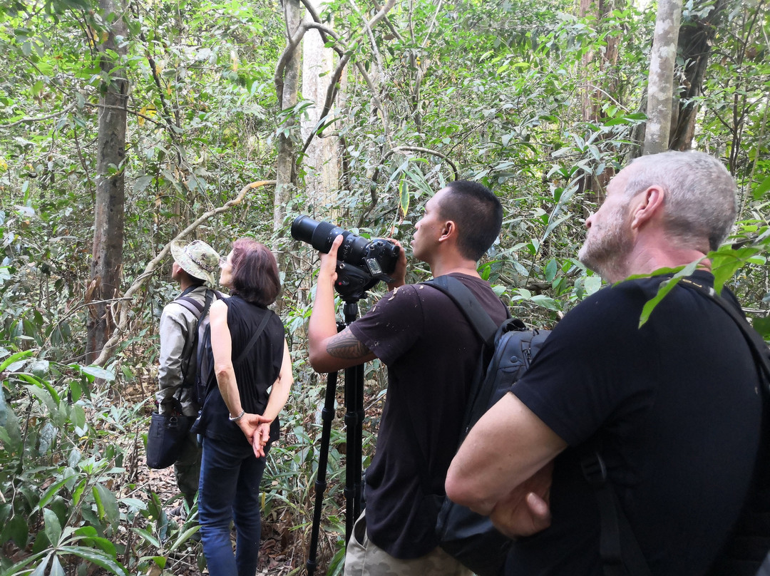 Seima Protection Forest-森莫诺隆必去景点