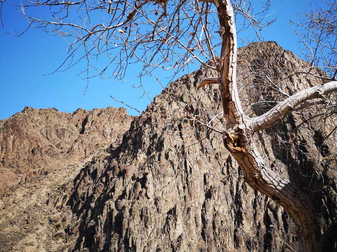 Charyn Canyon-Almaty Region必去景点