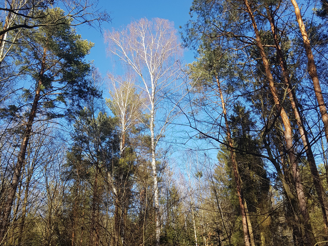 Zrodła Krolewskie-Kozienice必去景点