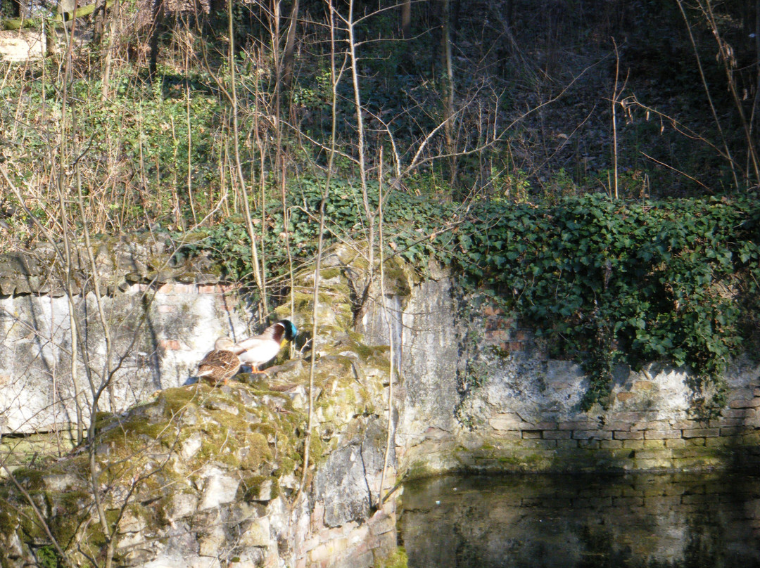 Villa Donà dalle Rose, Romanin Jacur-Salzano必去景点