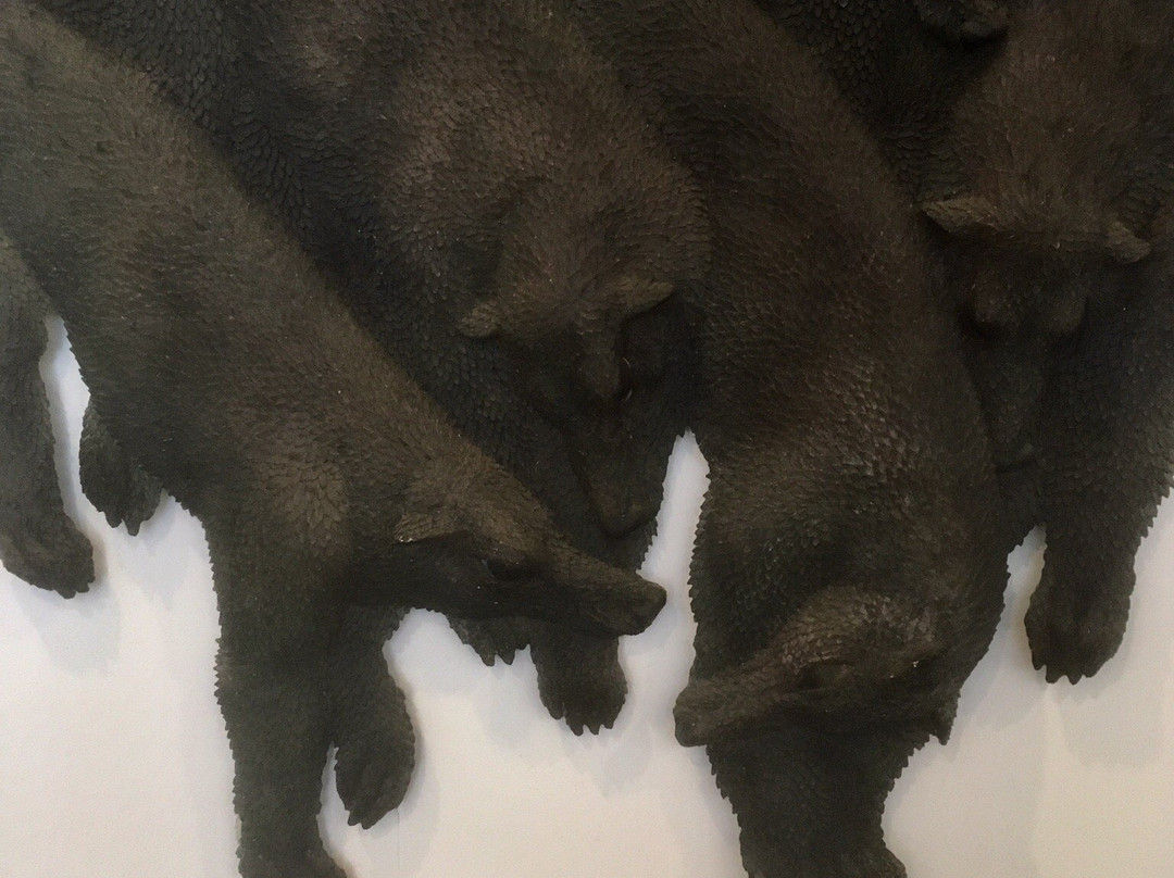 R16 Studio-Nishi必去景点