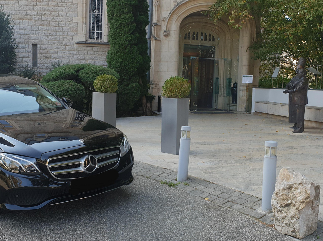 DZD PRESTIGE-Saint-Fons必去景点