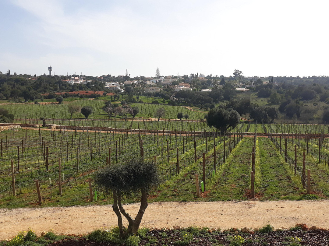 Algarve Views - Wines & Experiences-Silves必去景点