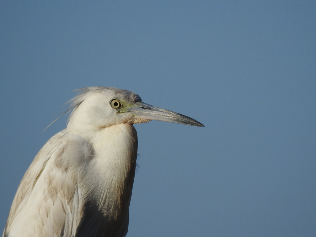 Everglades Wilderness Institute-佛罗里达城必去景点
