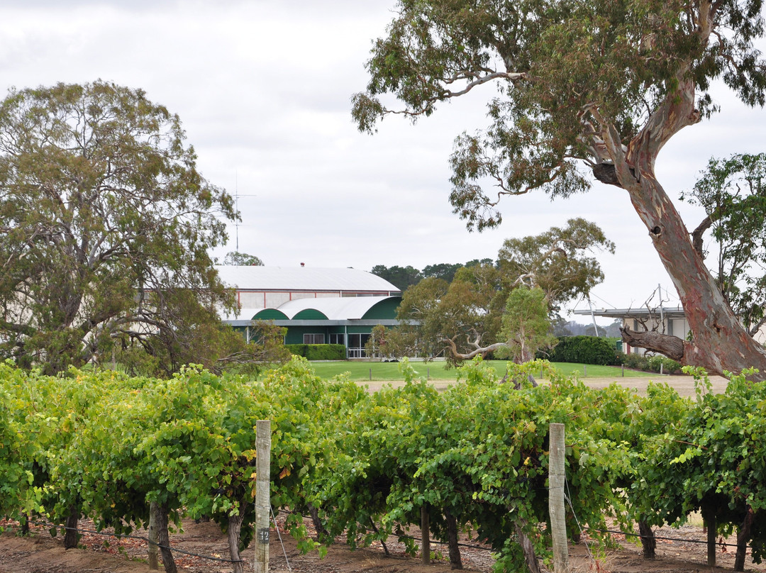 Majella Wines Coonawarra-Coonawarra必去景点