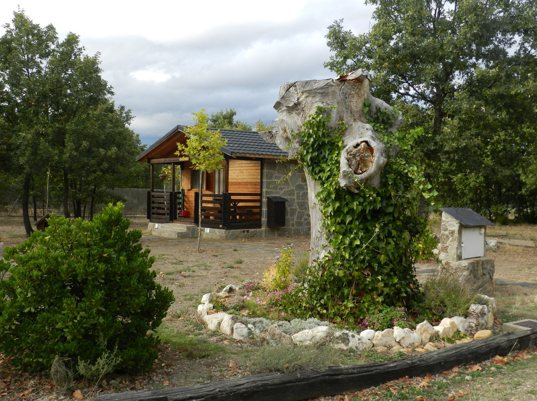 Manzanal de los Infantes旅游攻略图片