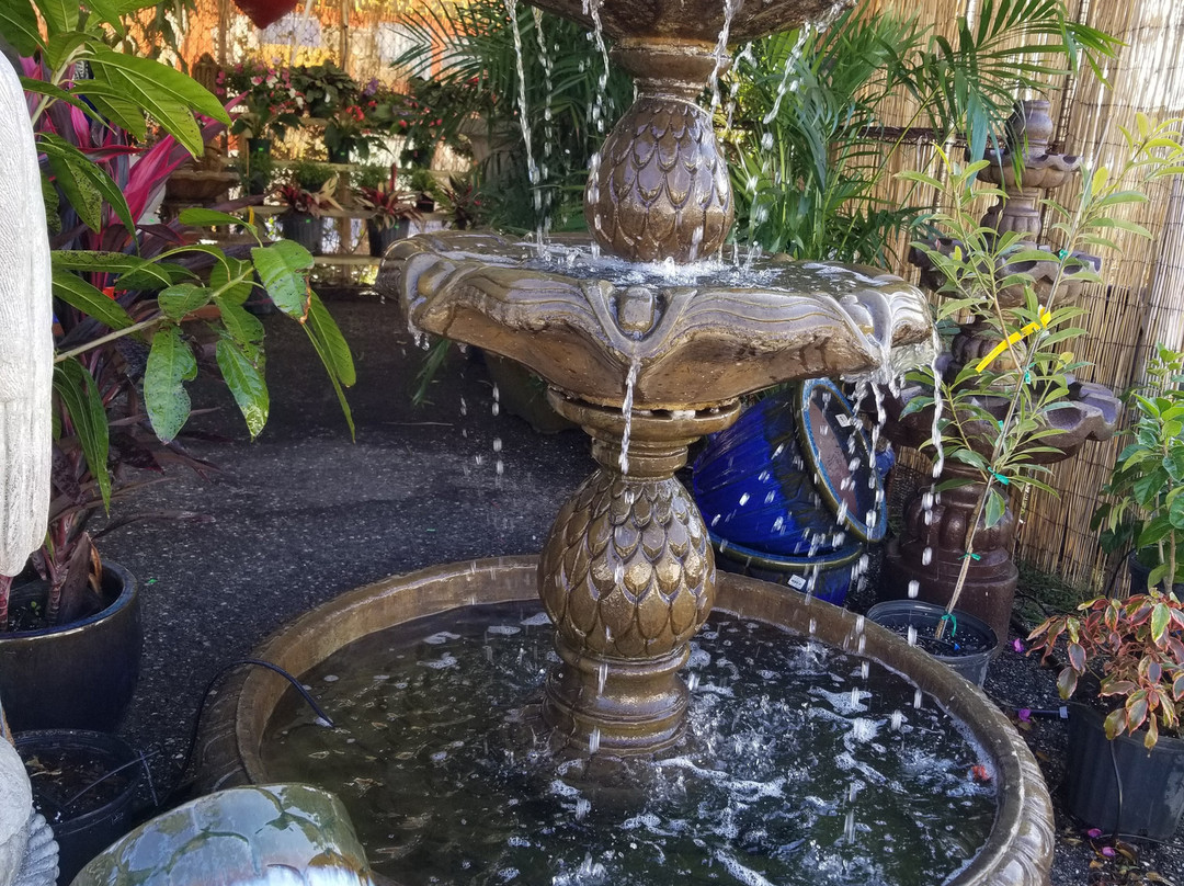 Flamingo Island Flea Market-博尼塔斯普林斯必去景点