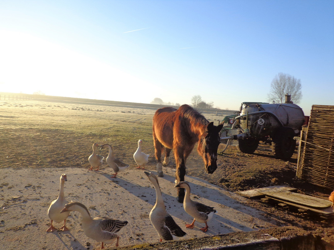Hoeve de Steenoven主图