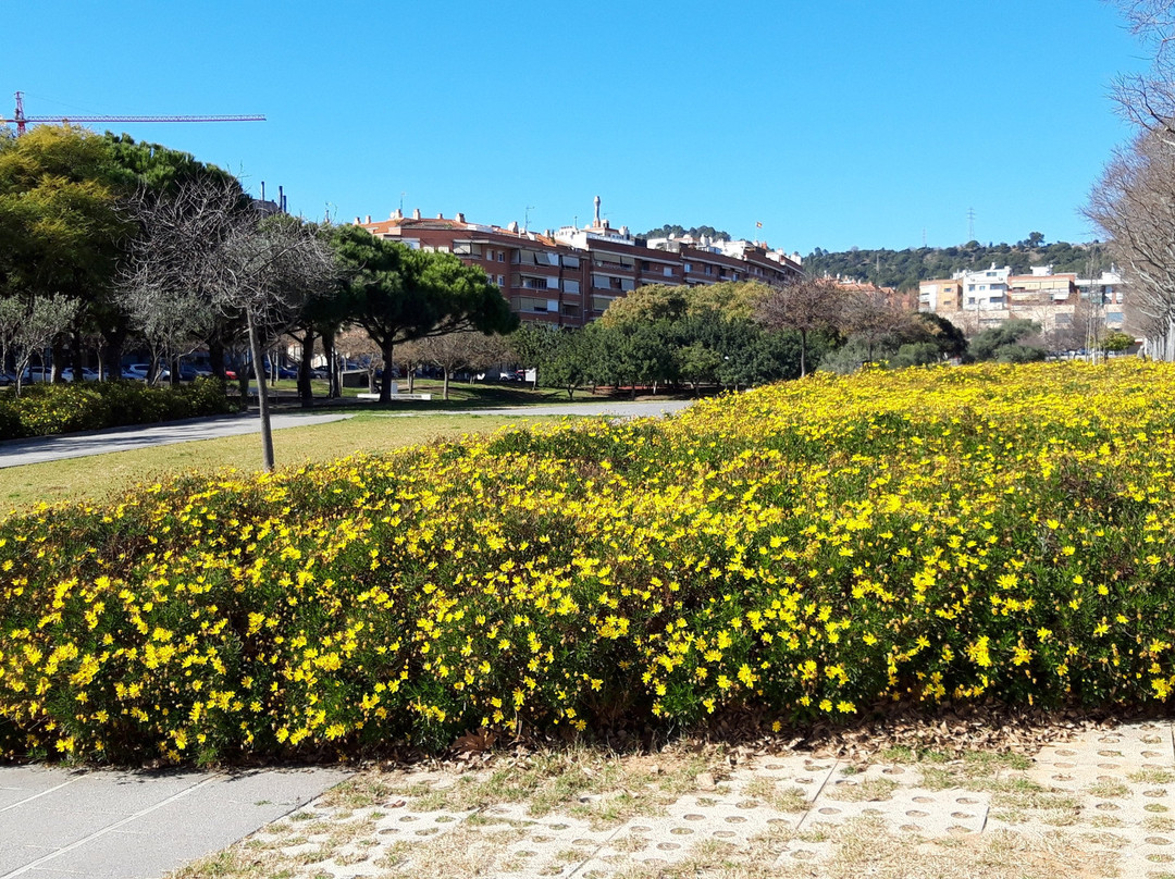 Parc Torrent Ballester-比拉德坎斯必去景点