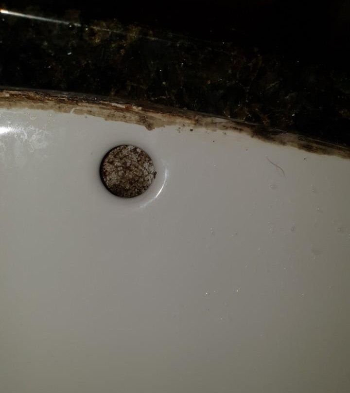 奥兰多基西米红狮酒店主图