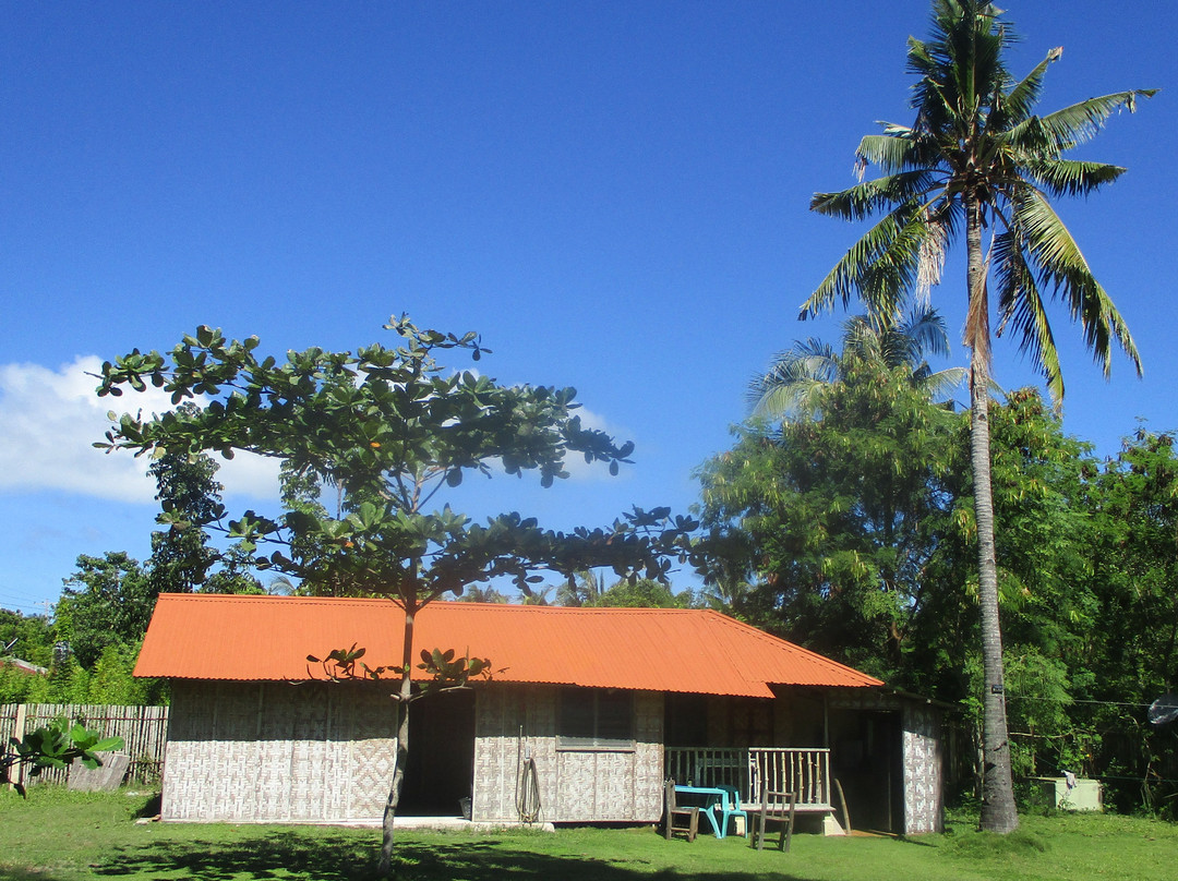 Randys Bantayan Island Grill & Chill Resort主图