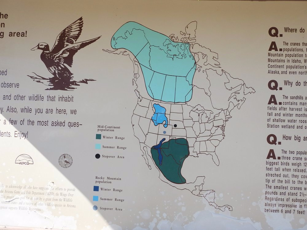 Apache Station Wildlife Viewing Area景点图片