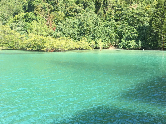 Telunas Beach Resort主图