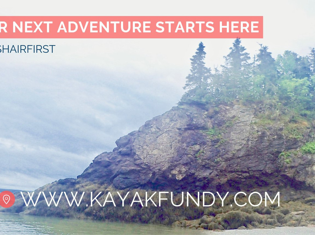 Kayak Fundy - FreshAir Adventure-阿尔马必去景点