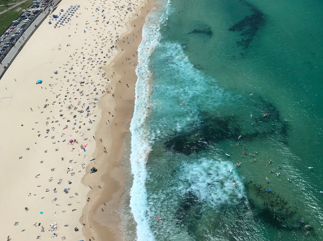 Bondi Helicopters景点图片