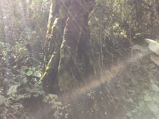 Gunung Hitam-Hulu Langat District必去景点