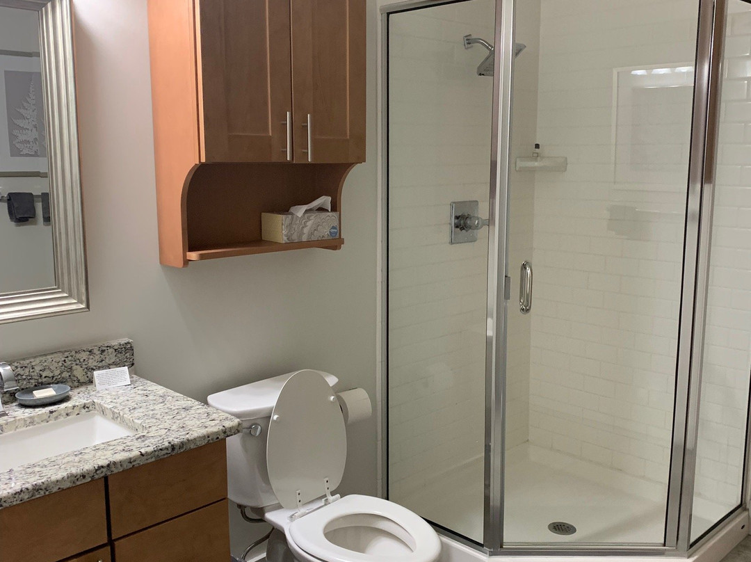 The Lofts at 517主图