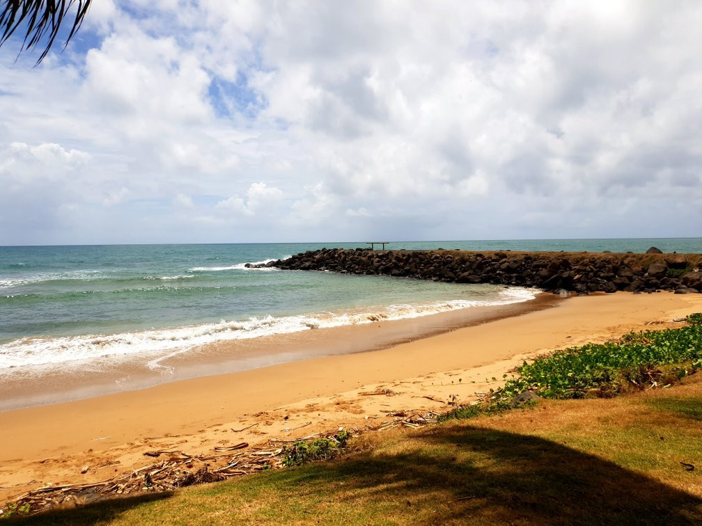 Turtle Park-Bargara必去景点