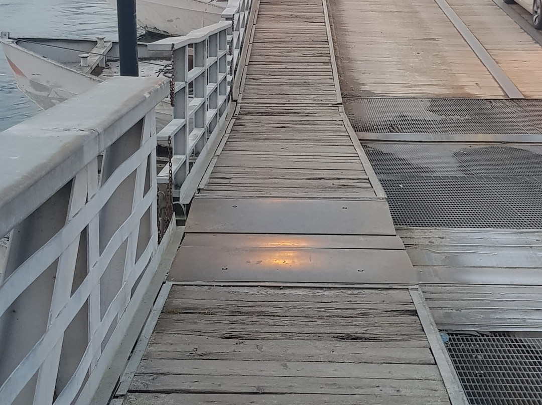 Ponte delle barche景点图片
