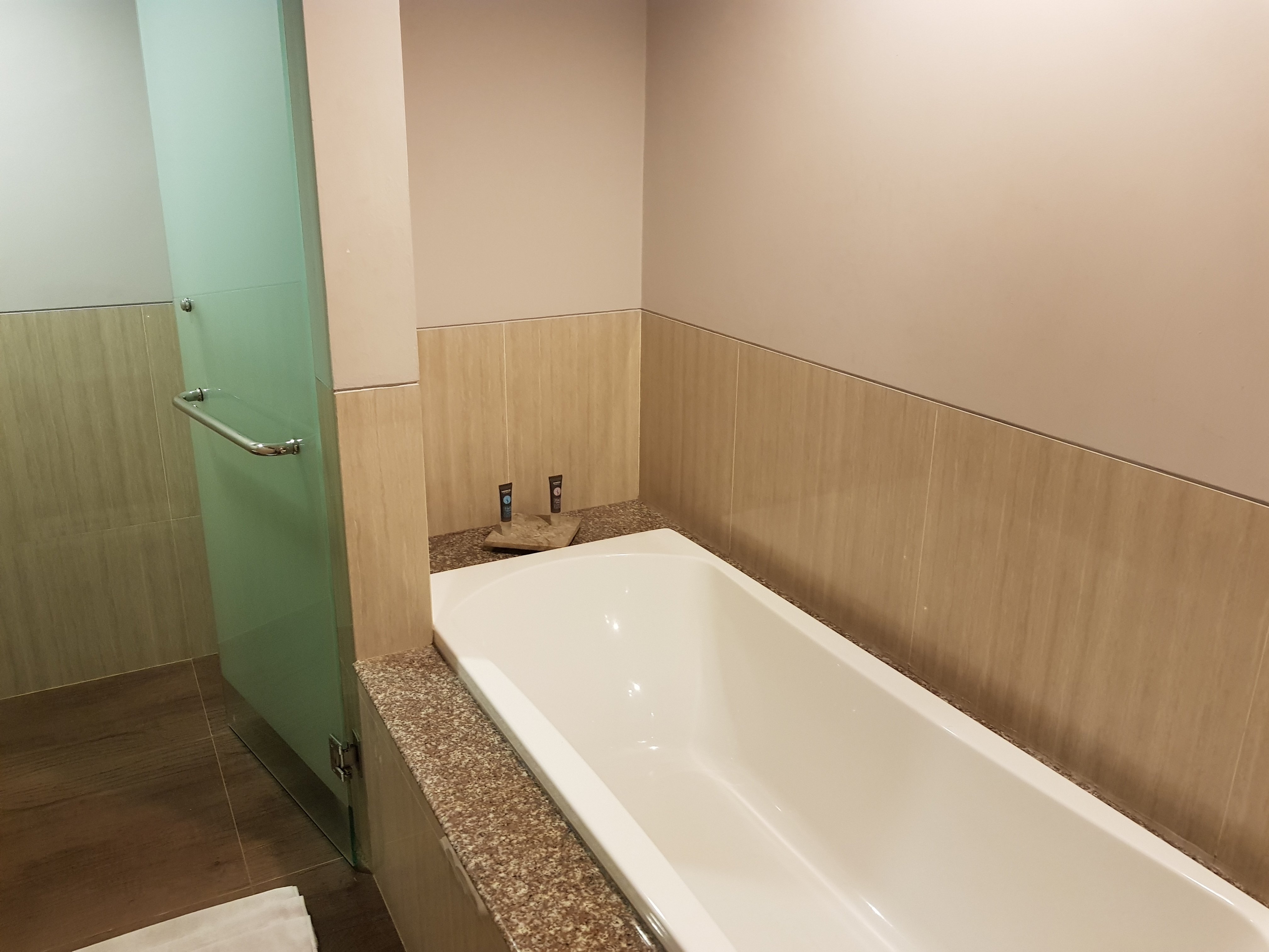 Novotel Bukittinggi-浴室